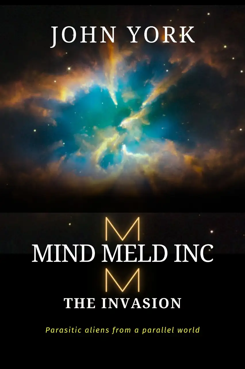Mind Meld Inc Image